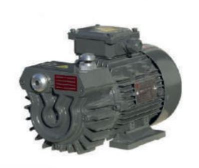 GS 10 Kuru Tip Vakum Pompası 