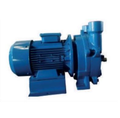 230/090 Sıvı Halkalı Vakum Pompası